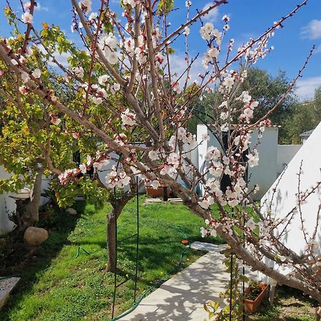 Wonderland Hotell San Teodoro  Eksteriør bilde