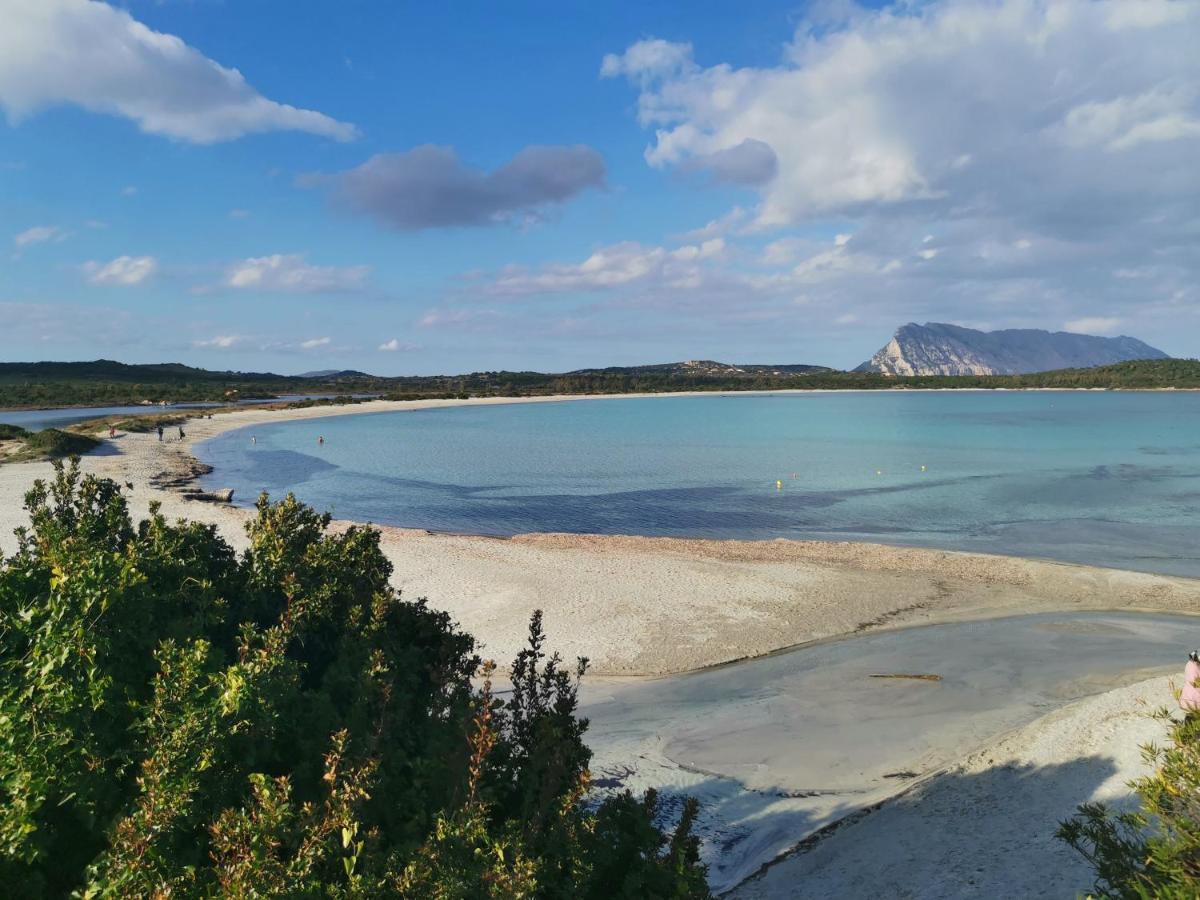 Wonderland Hotell San Teodoro  Eksteriør bilde