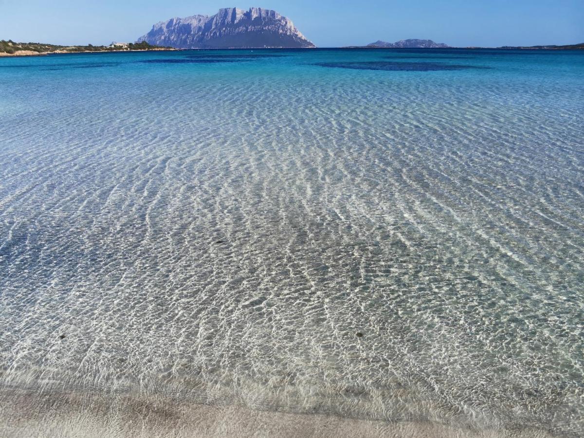 Wonderland Hotell San Teodoro  Eksteriør bilde