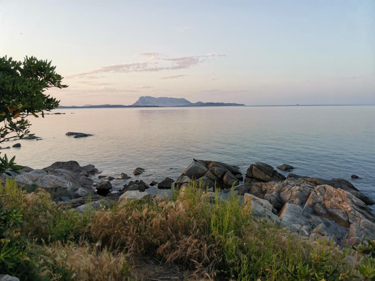 Wonderland Hotell San Teodoro  Eksteriør bilde