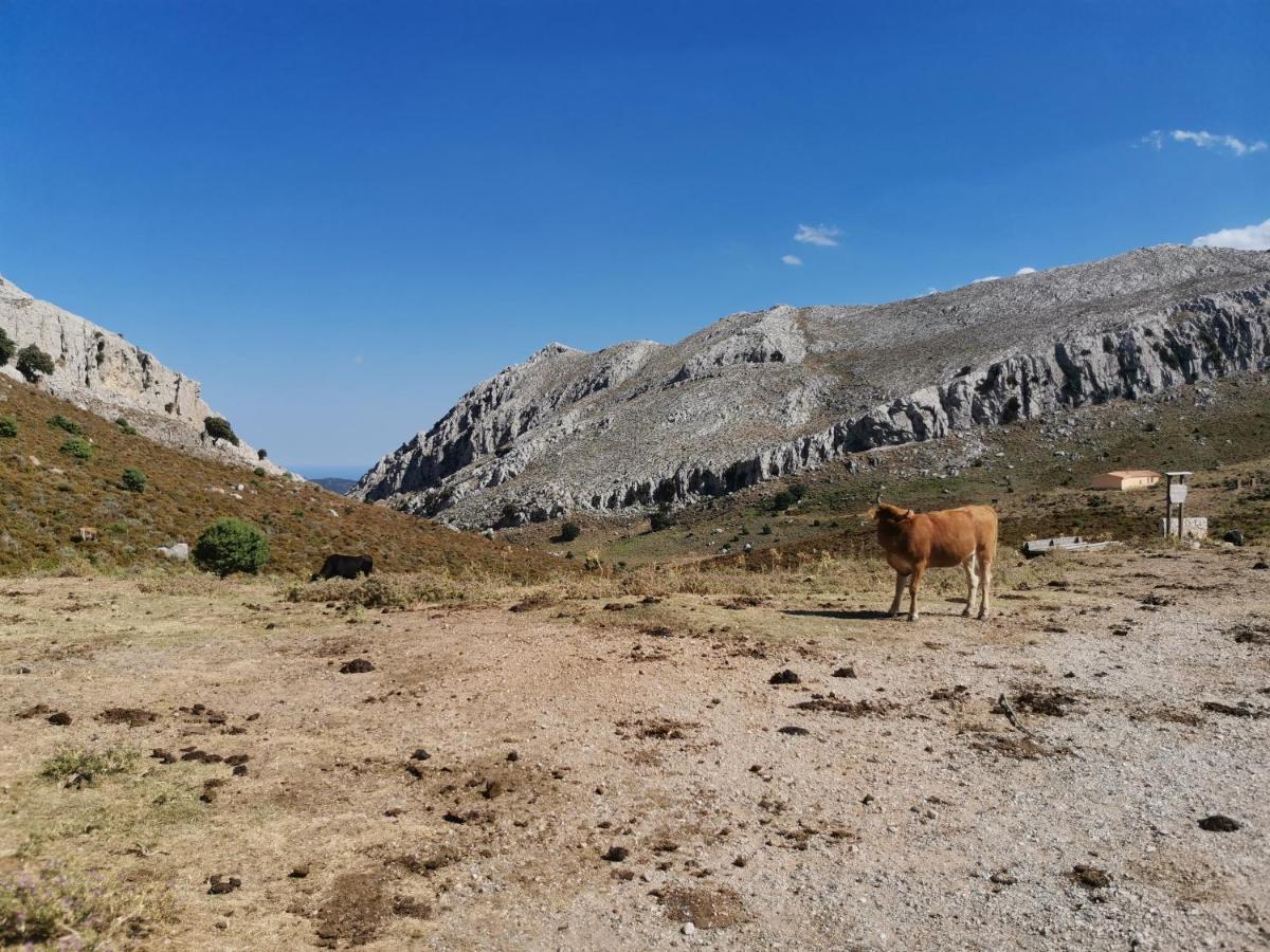 Wonderland Hotell San Teodoro  Eksteriør bilde