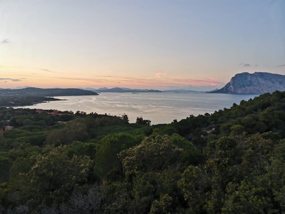 Wonderland Hotell San Teodoro  Eksteriør bilde