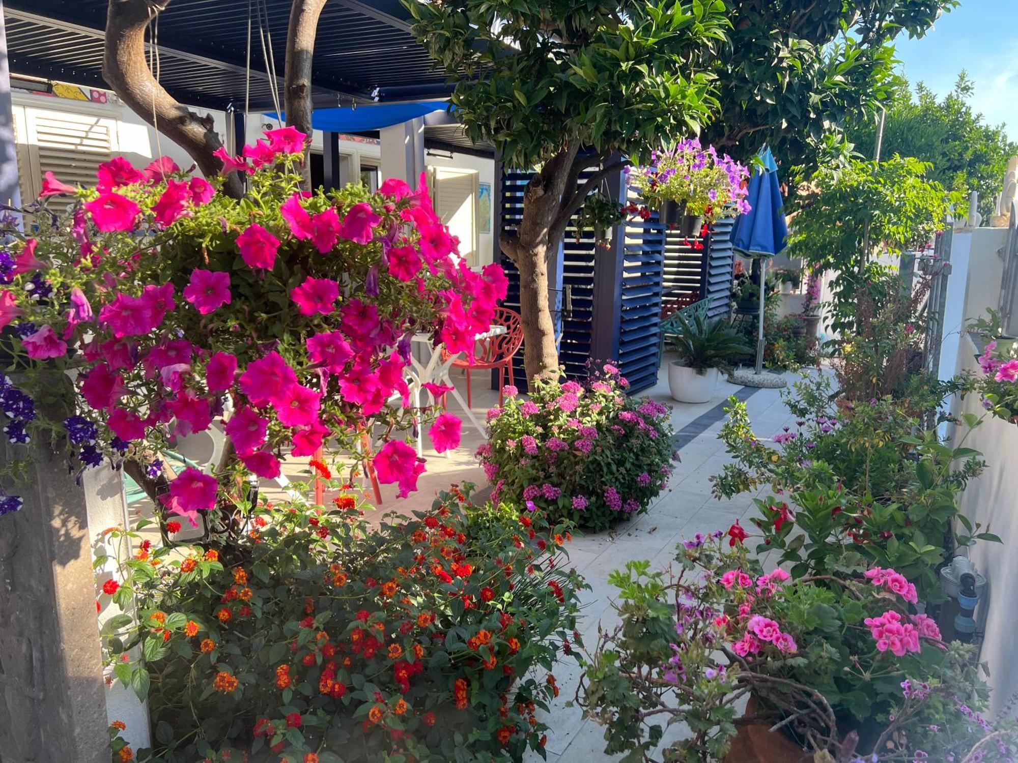 Wonderland Hotell San Teodoro  Eksteriør bilde