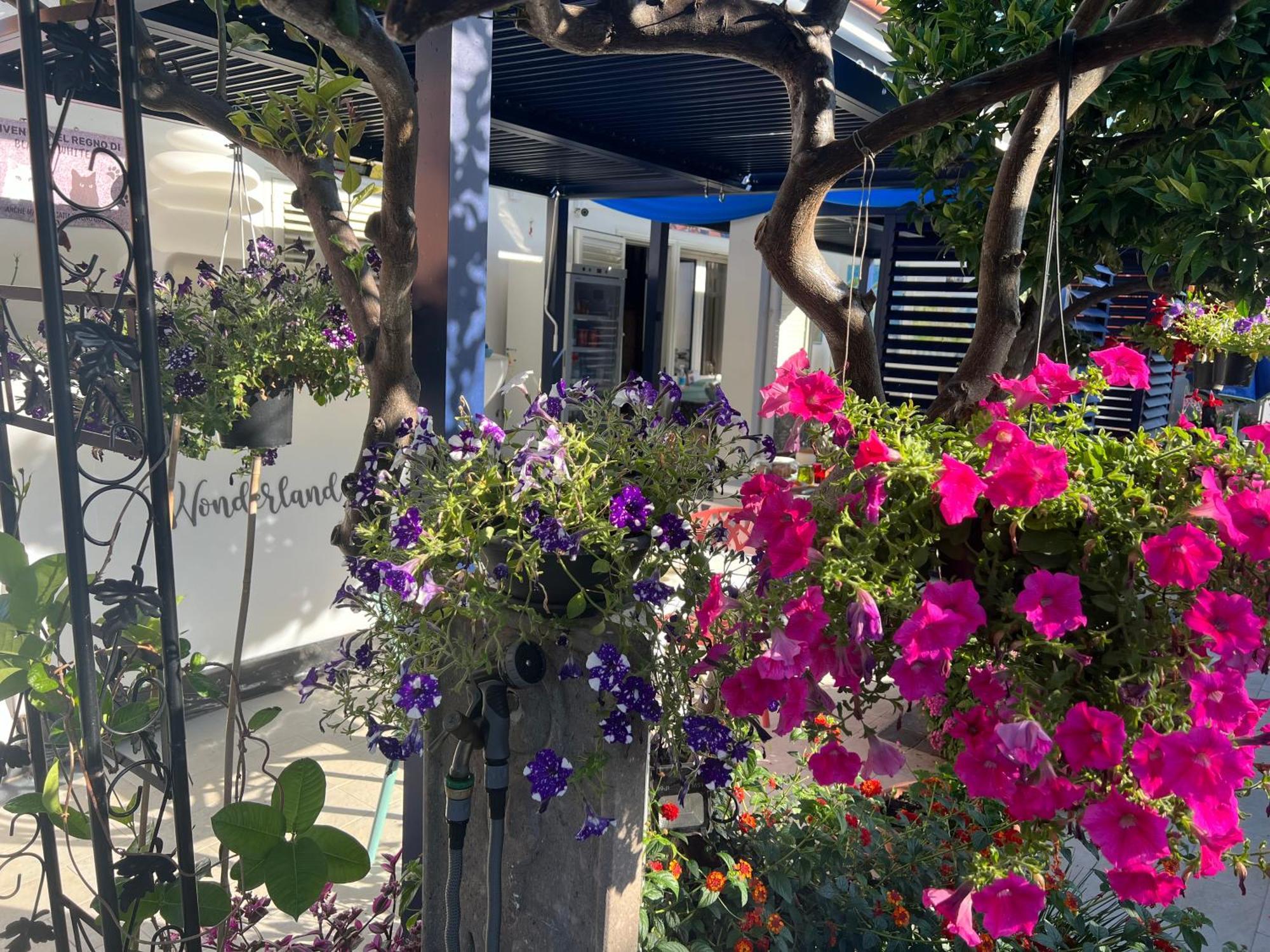 Wonderland Hotell San Teodoro  Eksteriør bilde